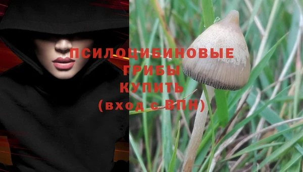 прущая мука Абаза