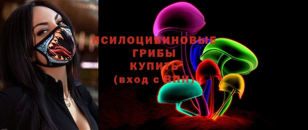 PSILOCYBIN Абдулино