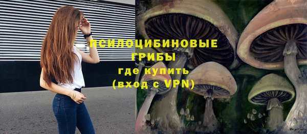 PSILOCYBIN Абдулино