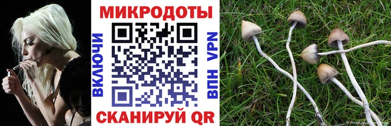 Псилоцибиновые грибы MAGIC MUSHROOMS Электросталь